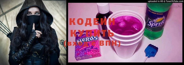 индика Балабаново