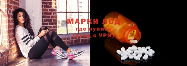 ПСИЛОЦИБИНОВЫЕ ГРИБЫ Новозыбков