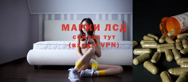 индика Балабаново