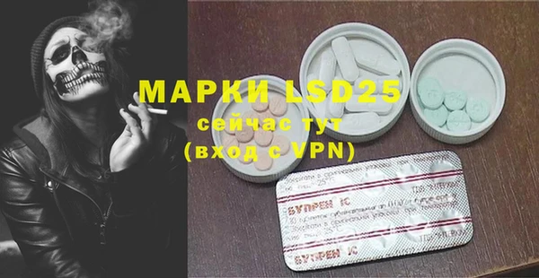 индика Балабаново