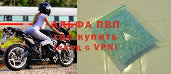 ПСИЛОЦИБИНОВЫЕ ГРИБЫ Новозыбков