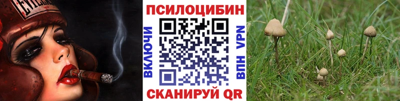 mega онион  Первомайск  Галлюциногенные грибы ЛСД 